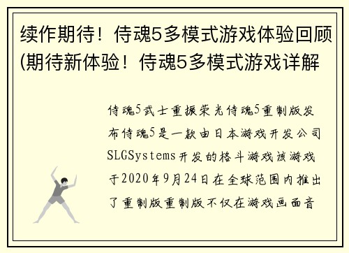 续作期待！侍魂5多模式游戏体验回顾(期待新体验！侍魂5多模式游戏详解)